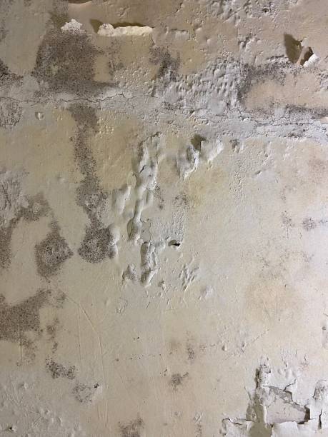 Water Damage Restoration in Marshall, MN