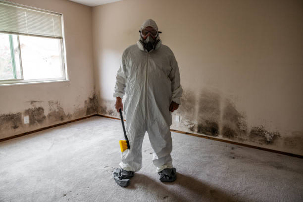 Attic Mold Removal in Marshall, MN